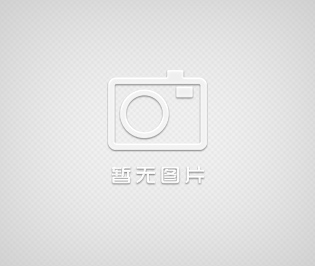 友聲計數(shù)電子臺秤